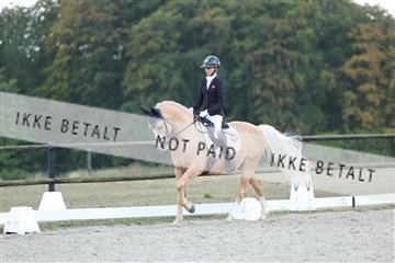 181894_mtp_04_R62_4044.JPG