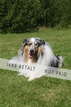 130370_se_03_IMG_7572.JPG
