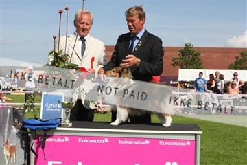 130370_se_03_IMG_7780.JPG