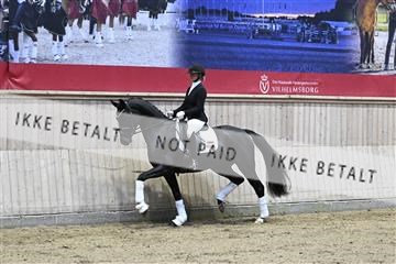 182241_kbb_01_Z093047.JPG