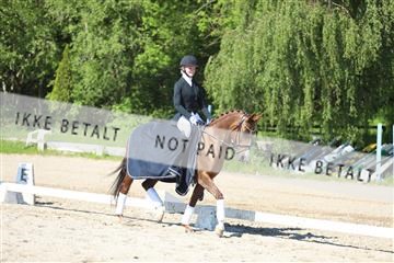 168732_mtp_01_3M5A6203.JPG