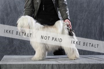 128239_le_kort_ 01_0072.JPG