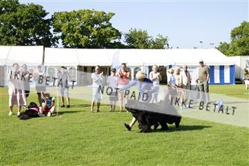 181564_kar_01__62_8353.JPG