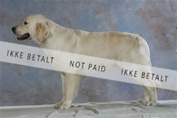 5493_sme _03__MG_9840.JPG