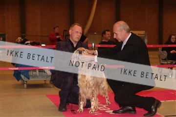 124188 _tl_02_IMG_9720.JPG