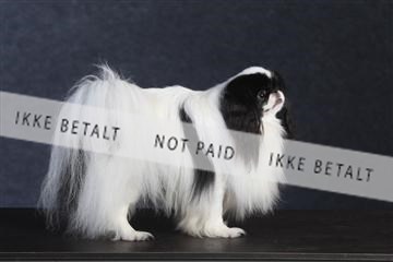 132082_le_ 01_IMG_0691.JPG