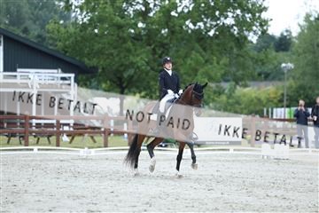 181923_mtp_01_R62_6619.JPG