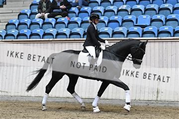 182241_kbb_01_Z094484.JPG