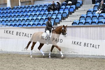 182241_kbb_01_Z095177.JPG