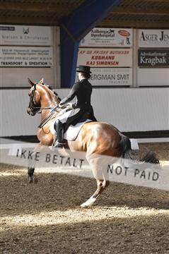 139422_bc_03__BC26125.JPG