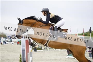 181436_kbb_01_6II7603.JPG