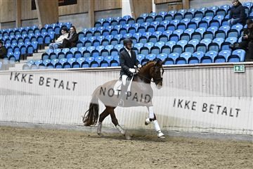 182241_kbb_01_Z094866.JPG