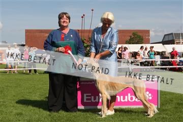 130370_se_03_IMG_7804.JPG