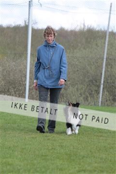 124188 _tl_02_IMG_9441.JPG