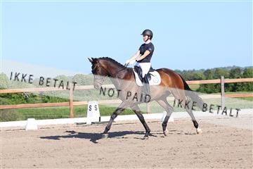 181449_bc_01R62_6227.JPG