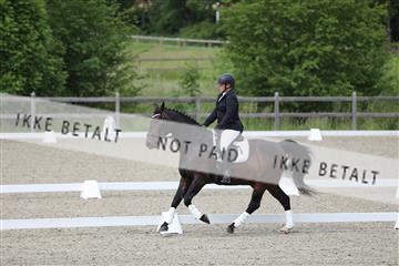 172030_mtp_01_3M5A1560.JPG