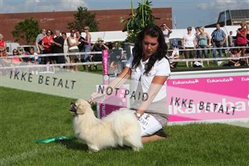 130370_se_03_IMG_7813.JPG