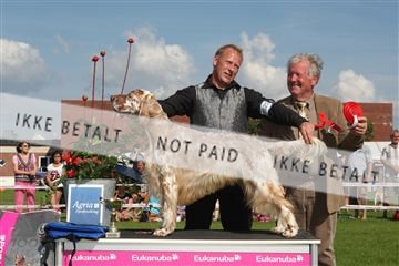 130370_se_03_IMG_7867.JPG
