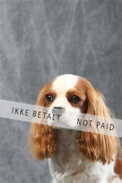 129608_le_ 01_0483.JPG