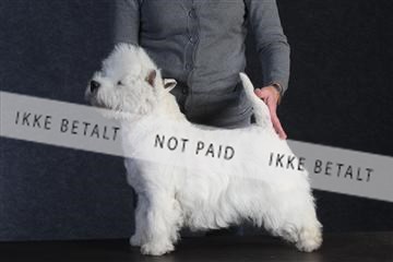 132082_le_ 01_IMG_0403.JPG