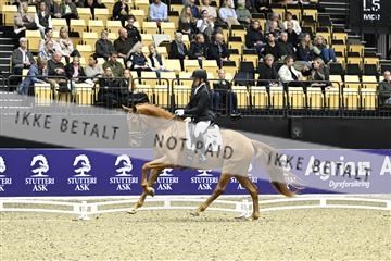 182194_kbb_03_Z090737.JPG