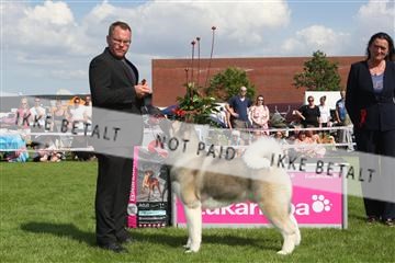 130370_se_03_IMG_7681.JPG