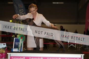 133496_ms_01_IMG_9374.JPG