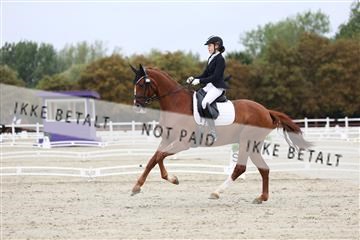 181923_mtp_01_R62_6419.JPG