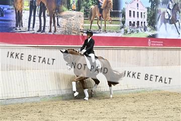 182241_kbb_01_Z094257.JPG