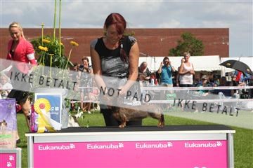130370_se_03_IMG_7610.JPG