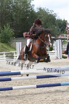 5350_sme _02_IMG_4472.JPG