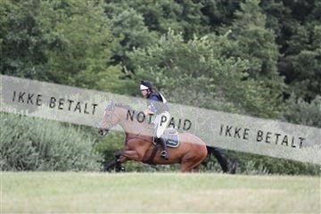 169215_mlm_01_IMG_6423.JPG