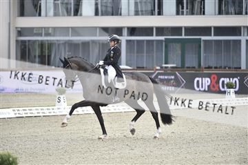 169586_kuo_04__D4S9249.JPG