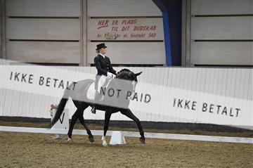 140040_abo_02__AB19651.JPG