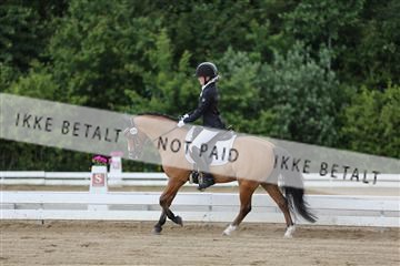 156196_nn_01_IMG_5884.JPG