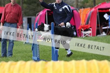 134871_ms_02_IMG_3164.JPG