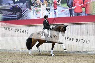 182241_kbb_01_Z094678.JPG