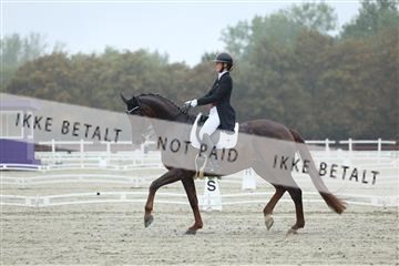 181923_mtp_03_R62_7766.JPG