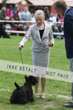 134871_ms_04_IMG_0247.JPG