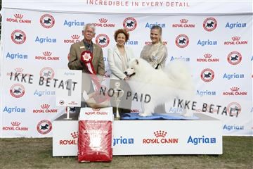 181848_kar_01__62_3058.JPG