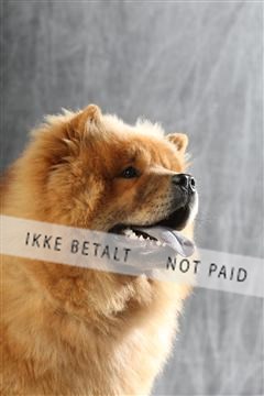 129608_le_ 01_0240.JPG