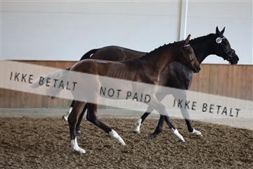 181756_mtp_03_R62_2310.JPG