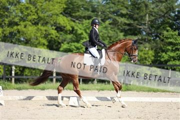 168732_mtp_01_3M5A8480.JPG