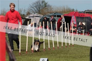 124188 _tl_02_IMG_9471.JPG