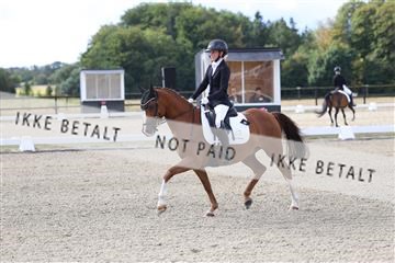 181894_mtp_01_R62_0177.JPG