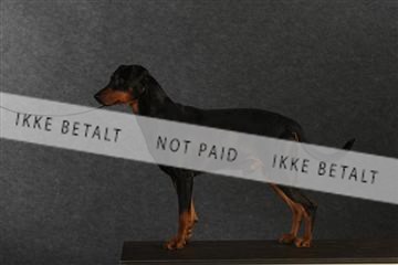 132082_le_ 01_IMG_0764.JPG