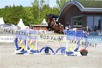 181436_avh_02_3998.JPG
