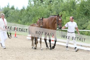125406_sc_02_IMG_0588.jpg