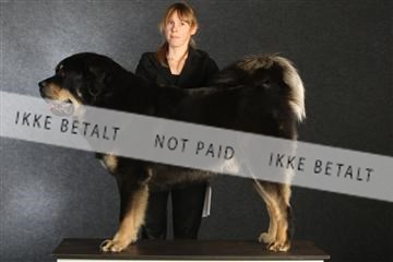 132082_le_ 01_IMG_0652.JPG