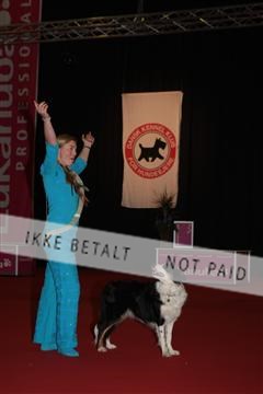 126827_tl_02_IMG_2772.JPG